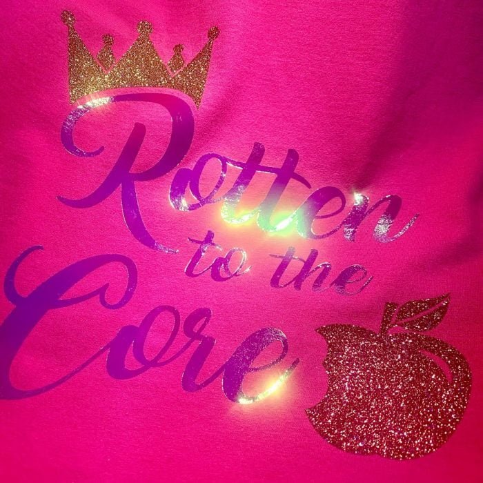 Chameleon Pink Blue HTV